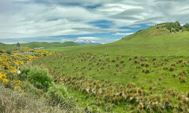 First view of Mount Ruapehu, just south of Waiouru 