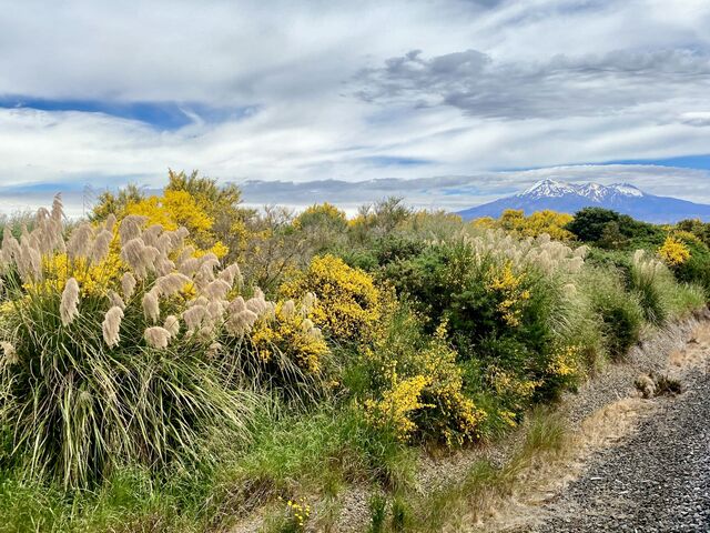Mount Ruapehu