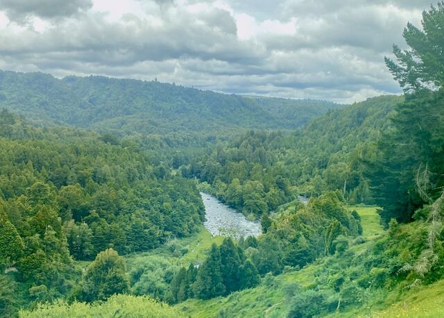 View of the Whakapapa River 