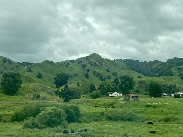 Te Koura 