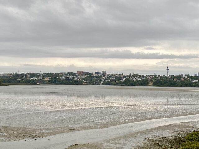 Looking across Hobson Bay to Auckland 