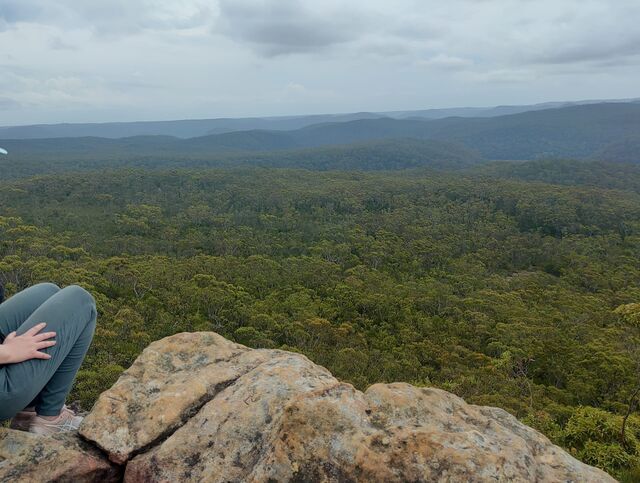 View from the summit of Mt Wondabyne