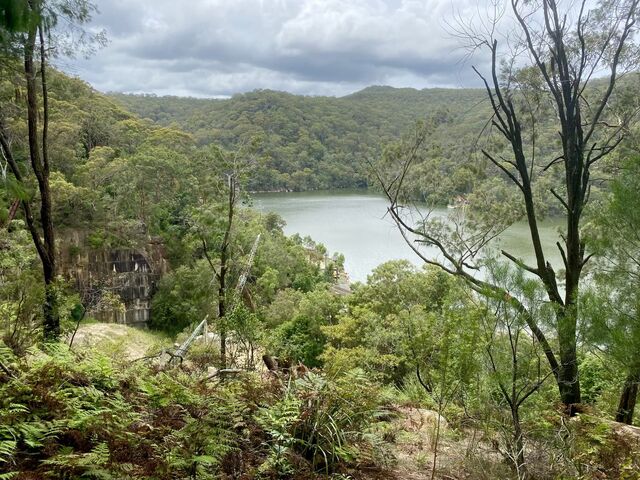 Views from the hike
