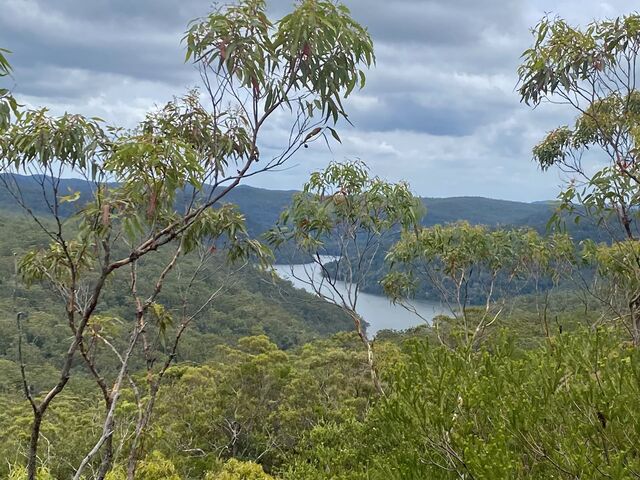 Views from the hike