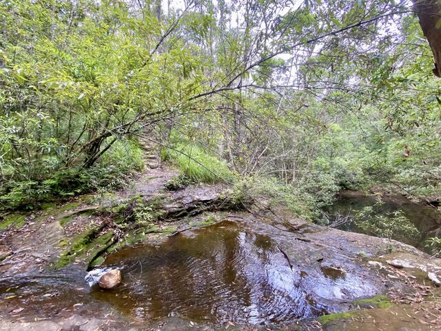Views from the hike