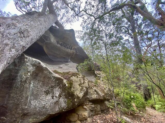 Views from the hike