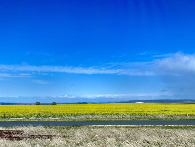 Views from the train