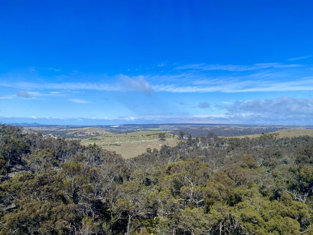 Views from the train