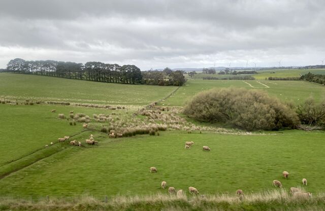 Views from the train