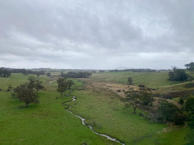 Views from the train