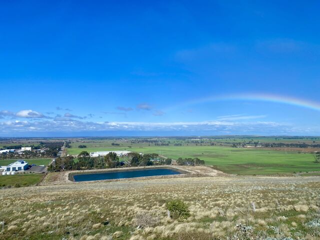 Views from the train