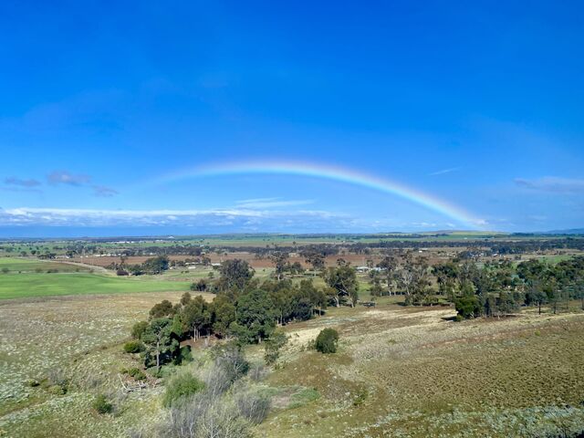 Views from the train