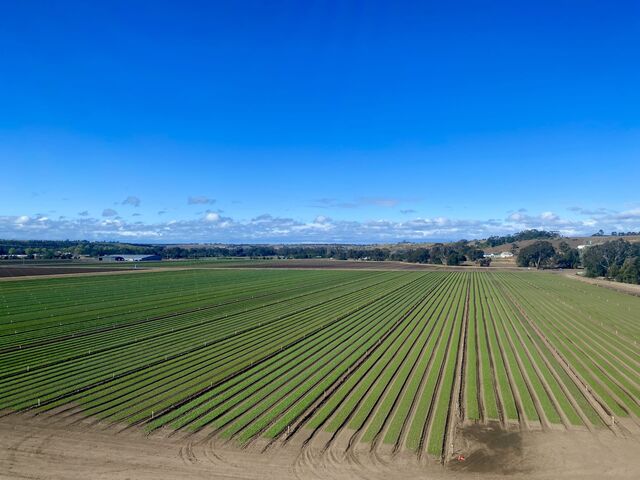 Views from the train