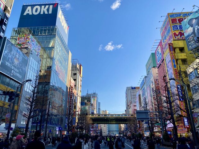 Elevated train bridge, Akihabara