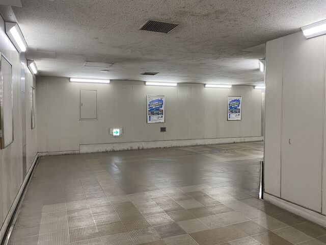 Tunnel leading to Higashi-Narita Station