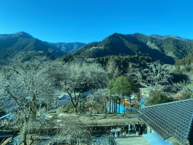 Views from the Ōme Line