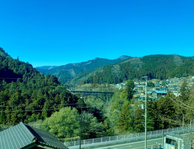 Views from the Ōme Line