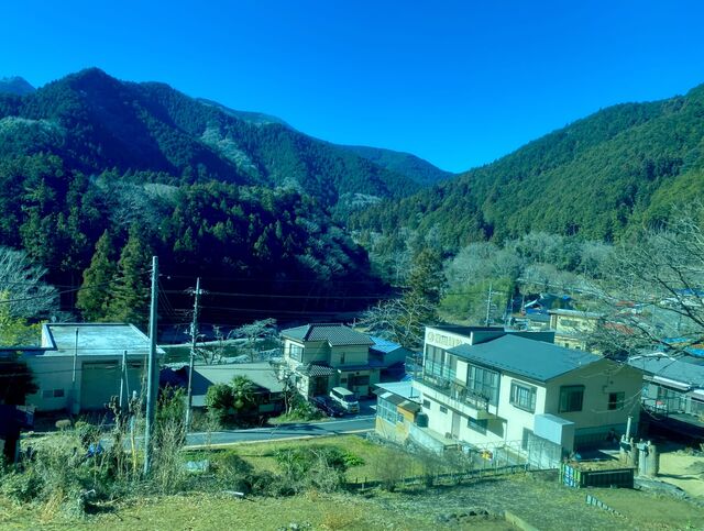 Views from the Ōme Line