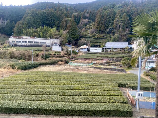 Views from the Ōigawa Main Line between Kanaya Station and Ieyama Station