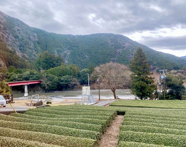 Views from the Ōigawa Railway Ikawa Line