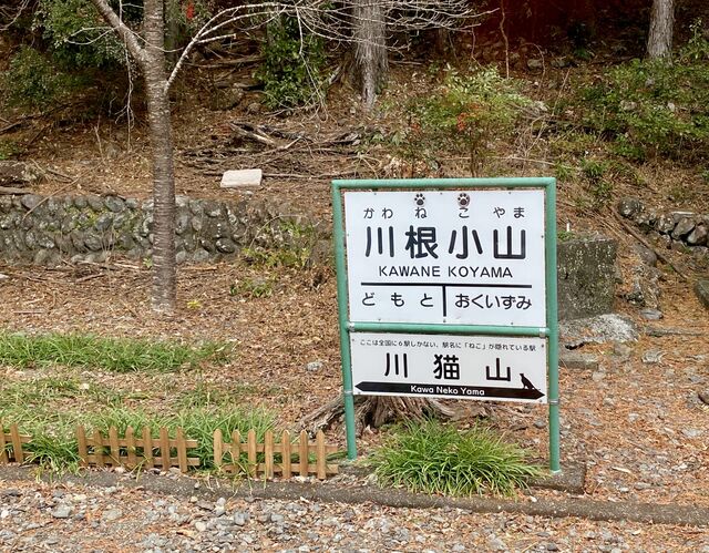 Views from the Ōigawa Railway Ikawa Line