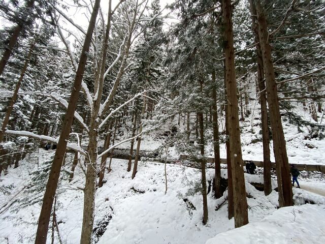 Jigokudani Monkey Park