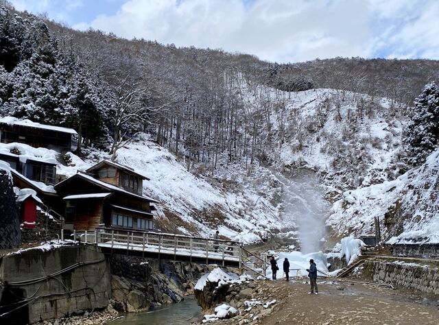 Jigokudani Monkey Park