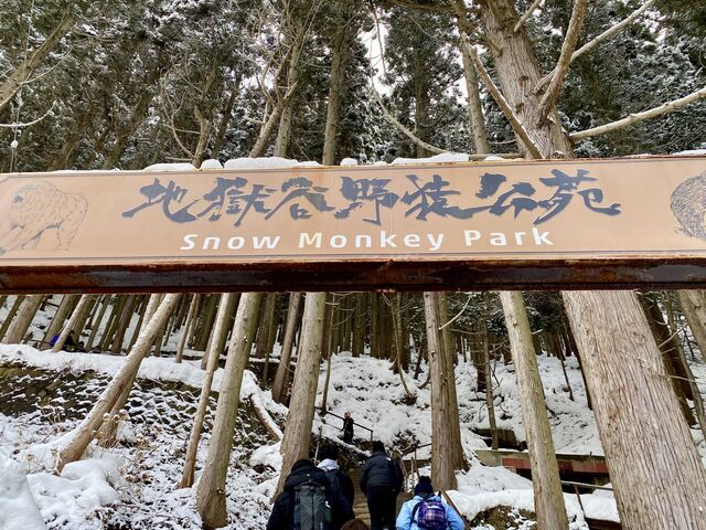 Jigokudani Monkey Park