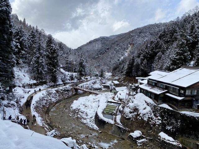 Jigokudani Monkey Park
