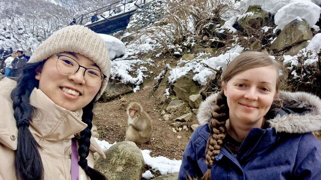 Snow Monkeys