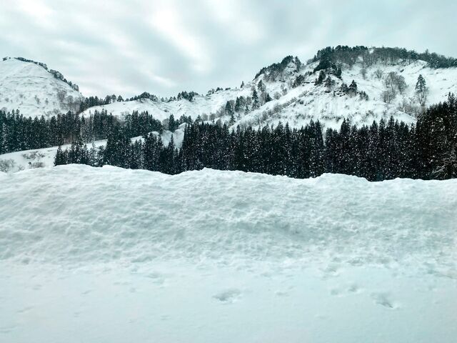 Views from the Tadami Line