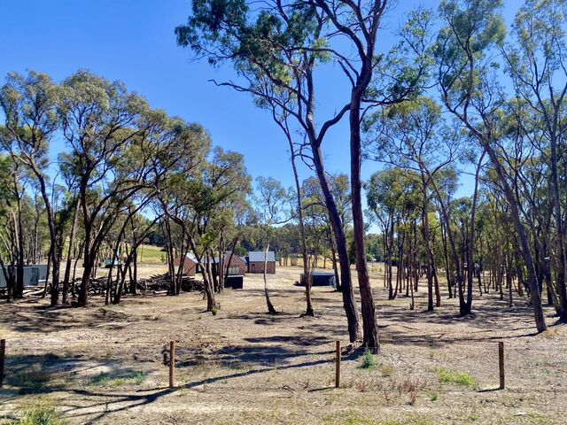 Views from the train to Maryborough