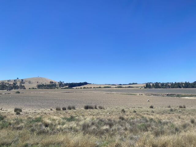 Views from the train to Maryborough