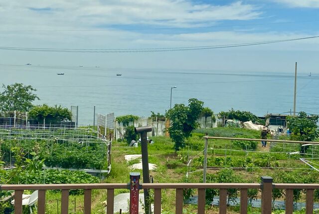 Views from the Haeundae Beach Train