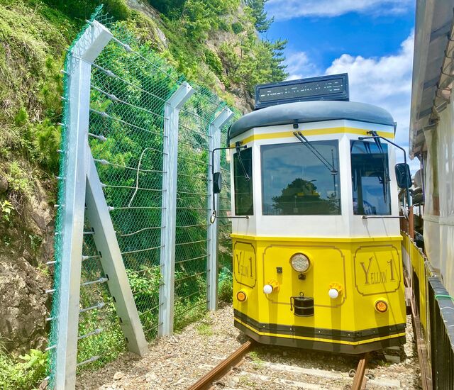 Haeundae Beach Train