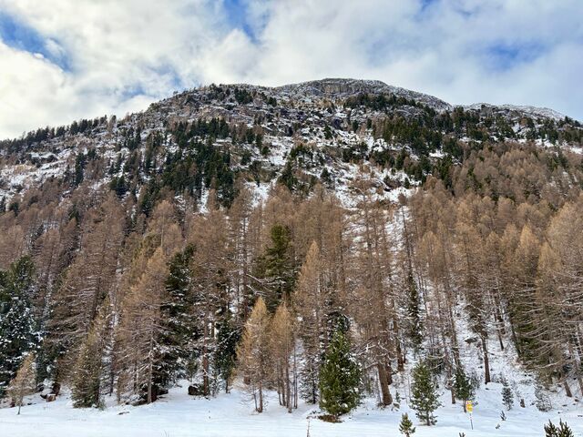 Near Morteratsch Station