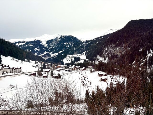 The village of Litzirüti