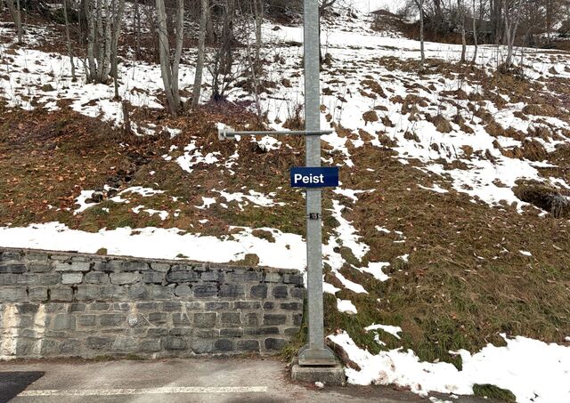Peist Station